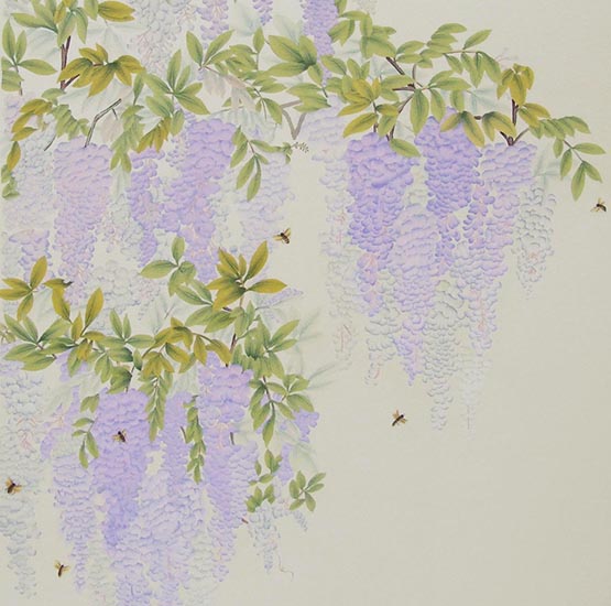 Wisteria