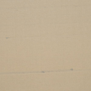 Sand Horizon