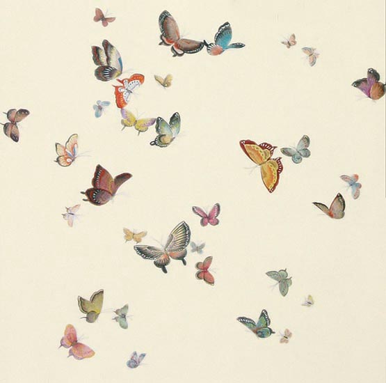 Butterflies