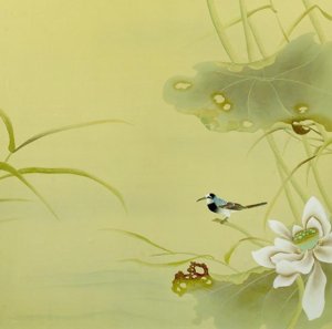Water Lilies Water Lilies