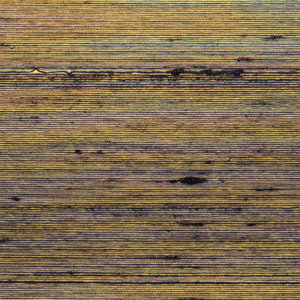 Gold Sea Gold Sea