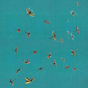 Dragonflies