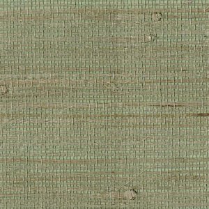 Sisal