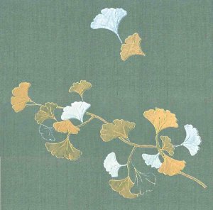 Ginkgo