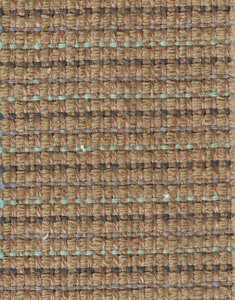 Mola Periwinkle
